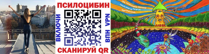 наркотики Новохопёрск MEGA ссылка Галлюциногенные грибы Cubensis
